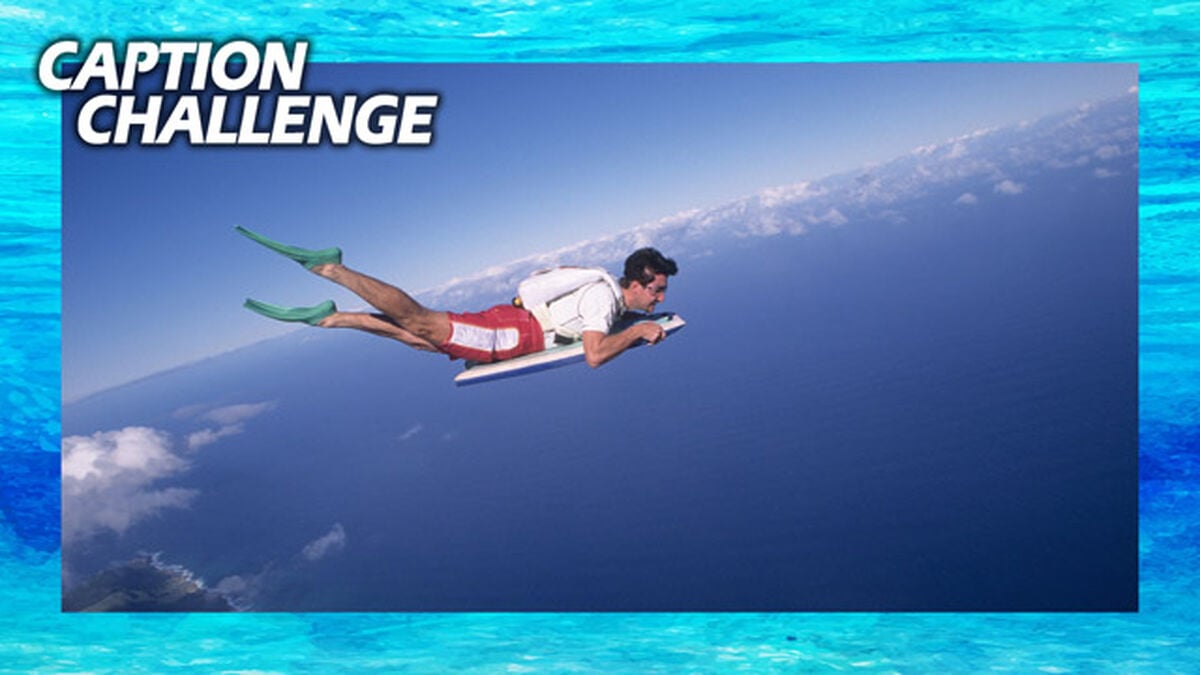 Caption Challenge Surf's Up image number null